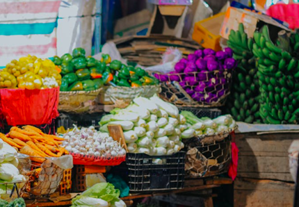 Alimentazione vegana per cani e gatti